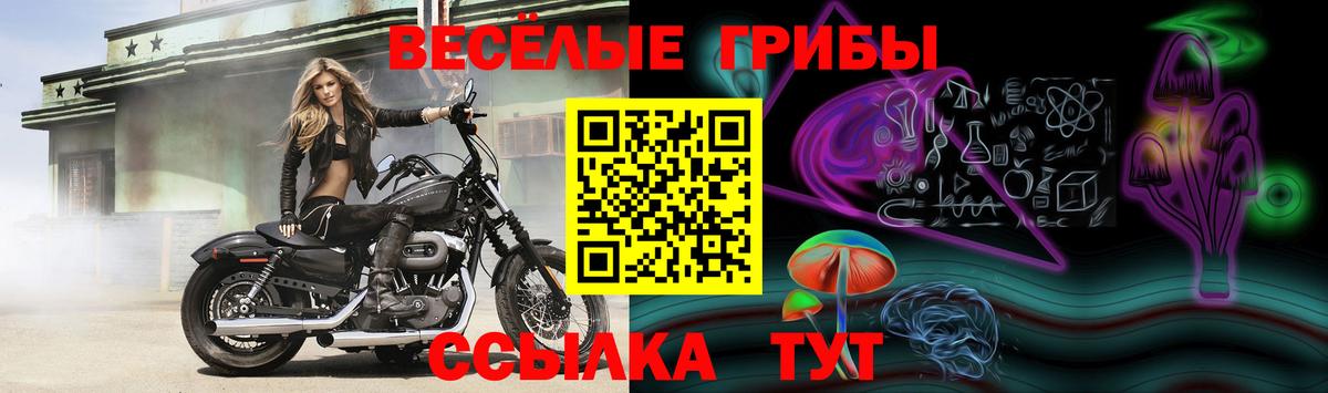 Галлюциногенные грибы мухоморы  Вход с VPN  где можно купить наркотик  Лысьва 